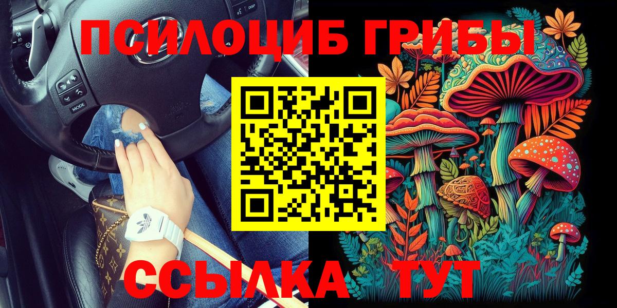 Галлюциногенные грибы Cubensis  Вход с VPN  Новый Уренгой 